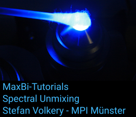 MaxBi Tutorials - Spectral unmixing in microscopy using online-fingerprinting