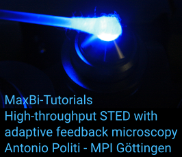 MaxBi Tutorials - High-throughput STED with adaptive feedback microscopy
