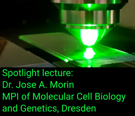 Application of optical tweezers with correlative fluorescence microscopy to the study of protein liquid phases on DNA