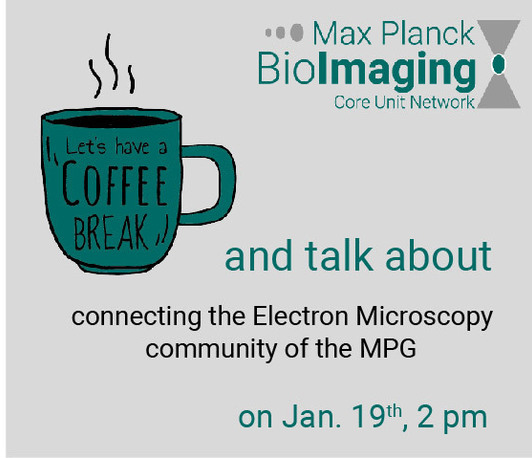 Coffee Break dedicated to Electron Microscopy