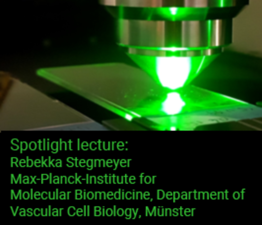  Led by landmarks – Retrieval of inflamed skin venules using correlative intravital light- and electron microscopy