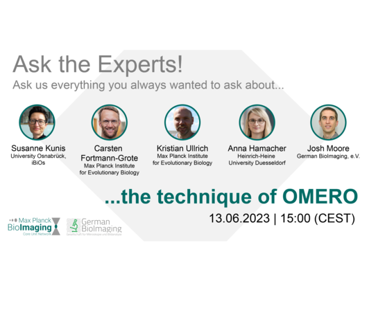 Ask the experts: the technique of OMERO