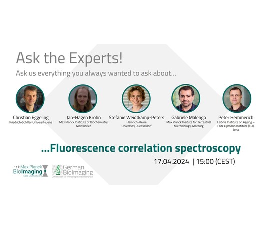 Ask the experts: Fluorescence Correlation Spectroscopy